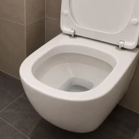 Toilet ontstoppen Ariool